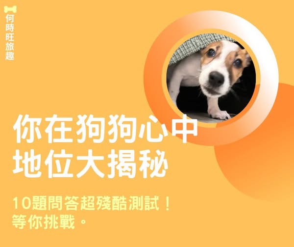 狗狗心中地位大揭秘：你是全世界，還是全自動餵食器？