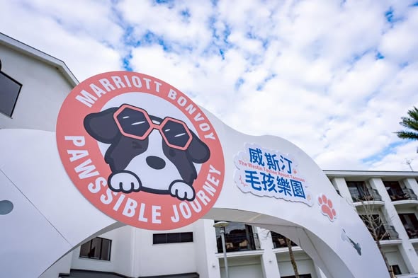當國際五星級飯店決定下場做寵物團，規格高到連我們都驚訝