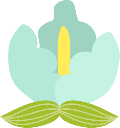台灣高雄裝飾花
